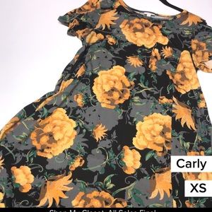 LuLaRoe Carly dress